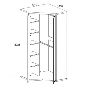 Шкаф угловой 2D, MAGELLAN, цвет Сосна винтаж в Добрянке - dobryanka.mebel24.online | фото 2