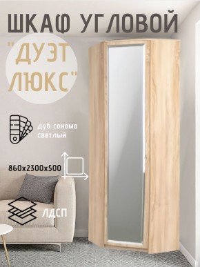 Шкаф угловой Дуэт Люкс с зеркалом в Добрянке - dobryanka.mebel24.online | фото
