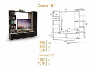 Стенка для гостиной ТВ-1 в Добрянке - dobryanka.mebel24.online | фото 2