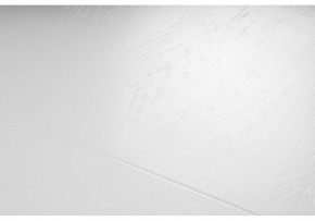 Стол деревянный Эвклаз 160(200)х90х77 белый / белый в Добрянке - dobryanka.mebel24.online | фото 9
