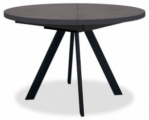 Стол обеденный RD100 в Добрянке - dobryanka.mebel24.online | фото