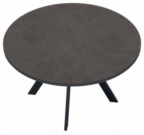 Стол обеденный RD100 в Добрянке - dobryanka.mebel24.online | фото 3