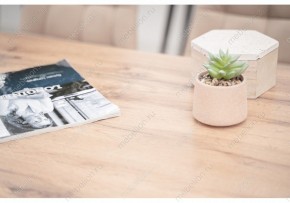 Стол обеденный Тринити Лофт 120 в Добрянке - dobryanka.mebel24.online | фото 6
