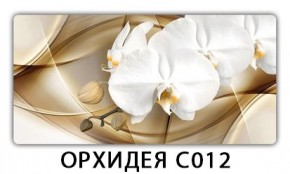 Стол раздвижной Трилогия с фотопечатью Орхидея C013 в Добрянке - dobryanka.mebel24.online | фото 13