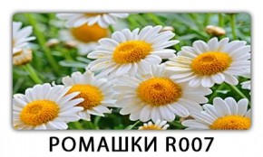 Стол раздвижной Трилогия с фотопечатью Орхидея C013 в Добрянке - dobryanka.mebel24.online | фото 15