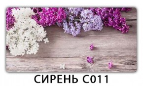 Стол раздвижной Трилогия с фотопечатью Орхидея C013 в Добрянке - dobryanka.mebel24.online | фото 16