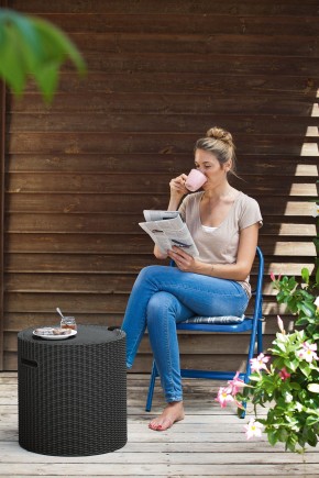 Столик-холодильник Кул-Стул (Cool stool) коричневый в Добрянке - dobryanka.mebel24.online | фото 2