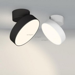 Светильник на штанге Arlight SP-RONDO-FLAP-R210-20W Day4000 (BK, 110 deg) 026453 в Добрянке - dobryanka.mebel24.online | фото 3
