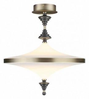 Светильник на штанге Odeon Light Ula 5404/43CL в Добрянке - dobryanka.mebel24.online | фото 2