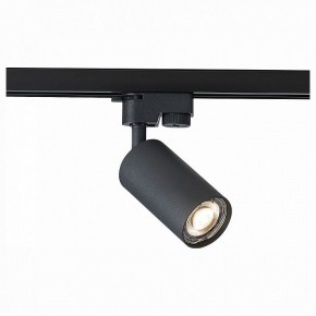 Светильник на штанге ST-Luce Solt ST300.406.01 в Добрянке - dobryanka.mebel24.online | фото 1