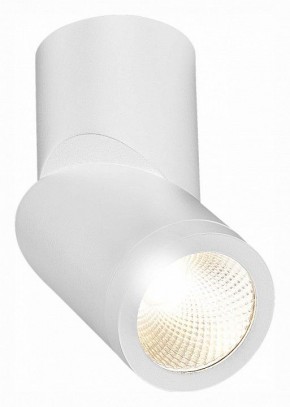 Светильник на штанге ST-Luce ST650 ST650.532.10 в Добрянке - dobryanka.mebel24.online | фото 3