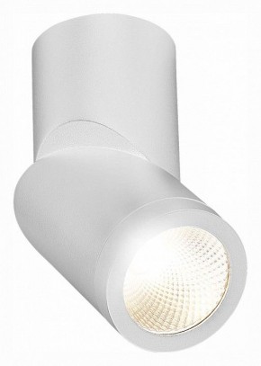 Светильник на штанге ST-Luce ST650 ST650.542.10 в Добрянке - dobryanka.mebel24.online | фото 3