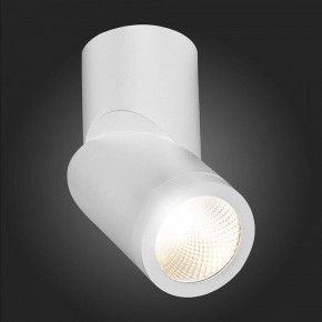 Светильник на штанге ST-Luce ST650 ST650.542.10 в Добрянке - dobryanka.mebel24.online | фото 6