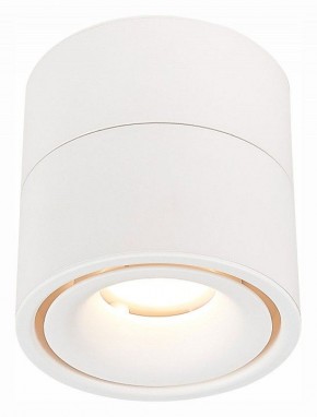 Светильник на штанге ST-Luce ST652 ST652.532.12 в Добрянке - dobryanka.mebel24.online | фото 2
