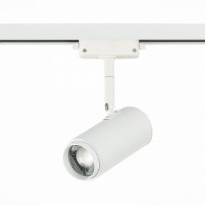 Светильник на штанге ST-Luce Zoom ST600.546.12 в Добрянке - dobryanka.mebel24.online | фото 3