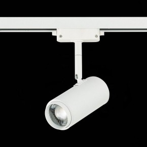 Светильник на штанге ST-Luce Zoom ST600.546.12 в Добрянке - dobryanka.mebel24.online | фото 5
