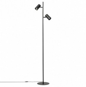 Торшер Citilux Twin CL809011N в Добрянке - dobryanka.mebel24.online | фото