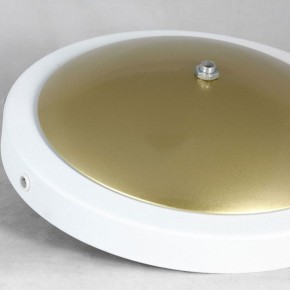 Торшер Lussole LSP-062 LSP-0625 в Добрянке - dobryanka.mebel24.online | фото 2
