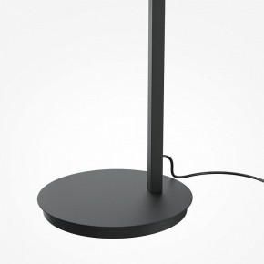 Торшер Maytoni Emphaty MOD363FL-L14B3K в Добрянке - dobryanka.mebel24.online | фото 5
