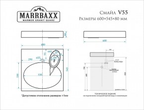 Умывальник над стиральной машиной (600*545*80) Смайл V55D1 (белый) с кронштейном без сифона (V55D1) в Добрянке - dobryanka.mebel24.online | фото 2