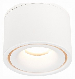 Встраиваемый светильник на штанге ST-Luce ST652 ST652.548.12 в Добрянке - dobryanka.mebel24.online | фото 3